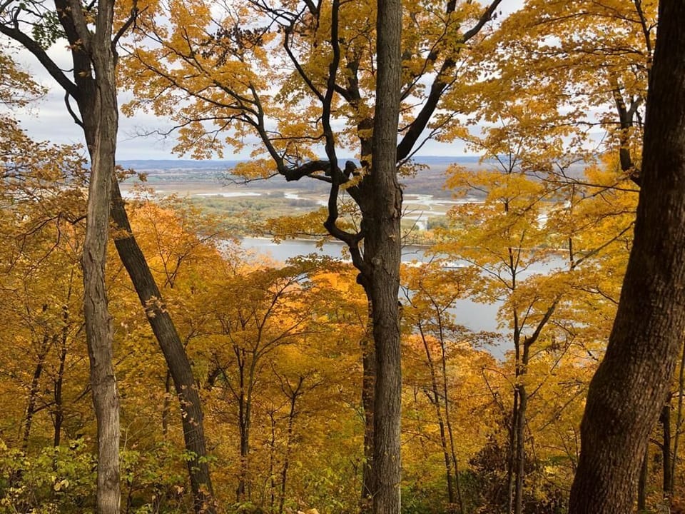 Autumn view of Lake Alice.