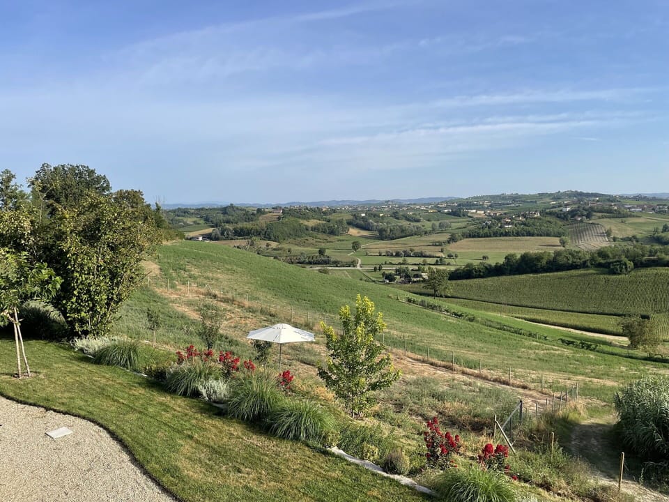 Garden, Scenic View, Summer