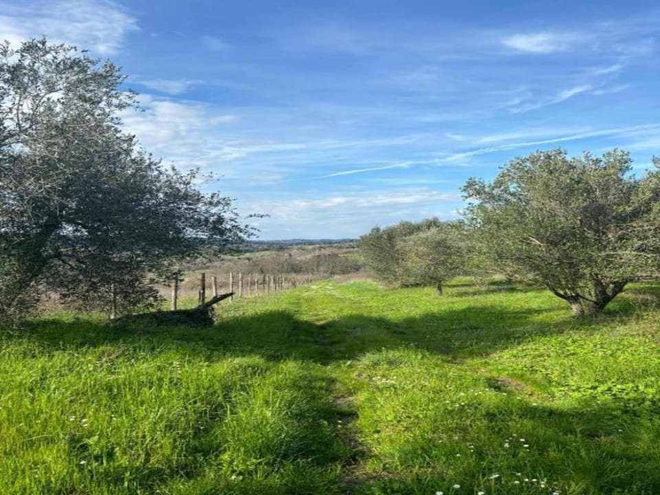 Surroundings [summer] (1-5 km)