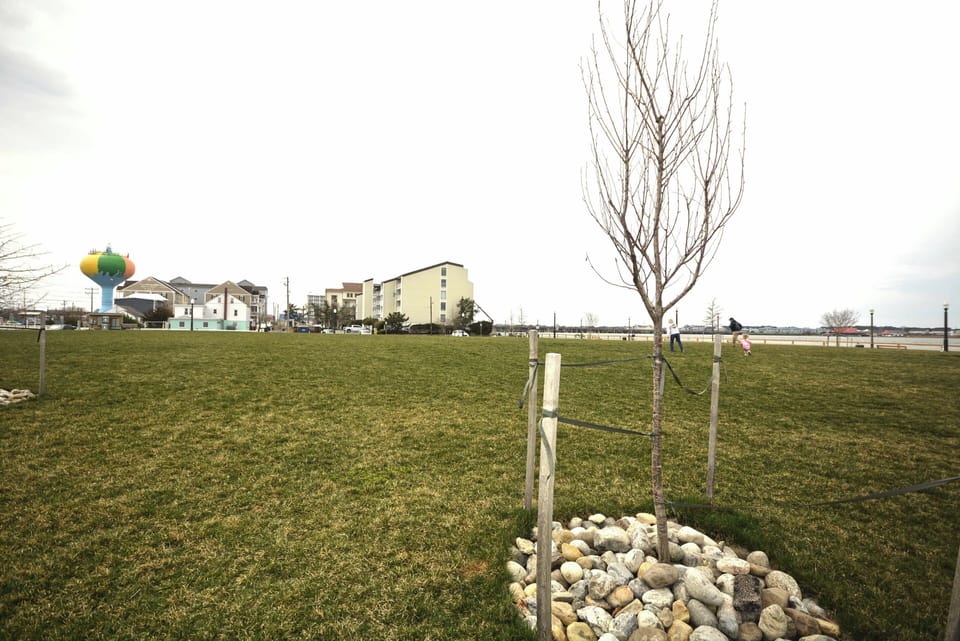 4TH. STREET PARK