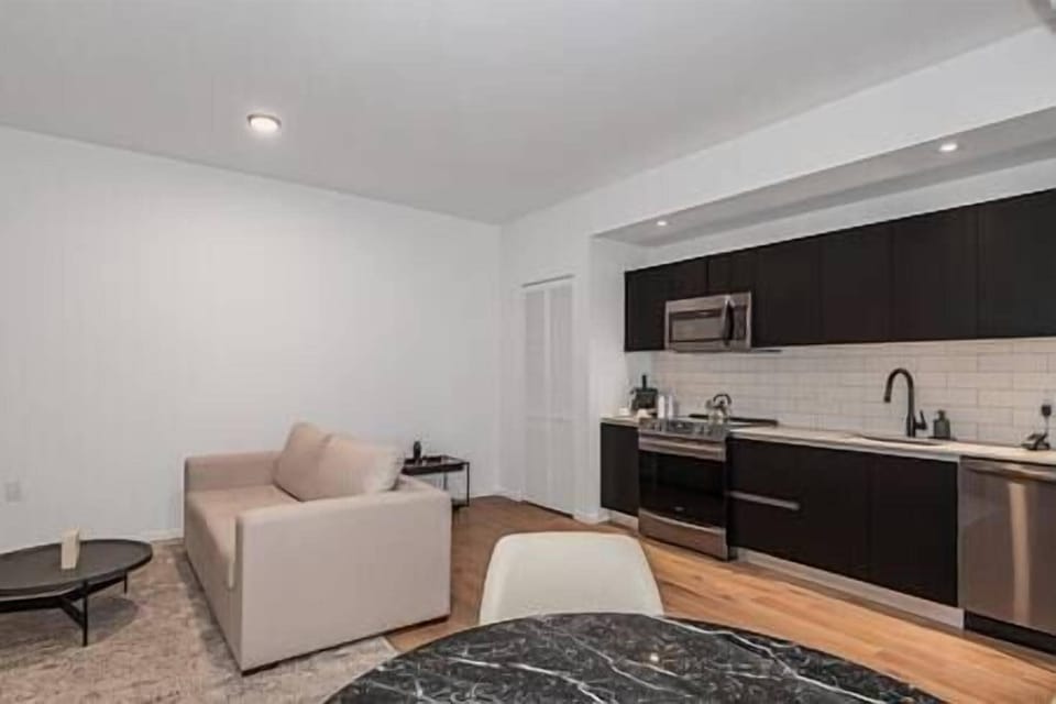 Living Room Area / Kitchen