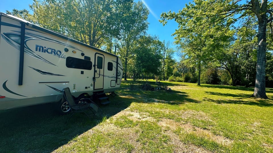 Enjoy this sunny outdoor space with plenty of room to roam and a BBQ grill!