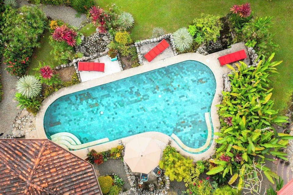Casitas Del Rio Riverfront Nature Boutique Hotel Lodge amazing Jungle Beach Vacation swimming pool