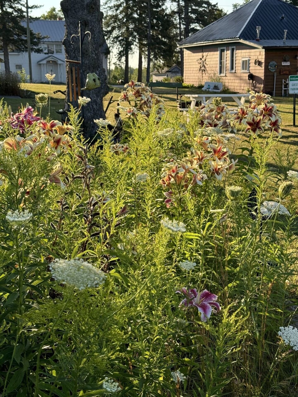 Perennial Gardens.