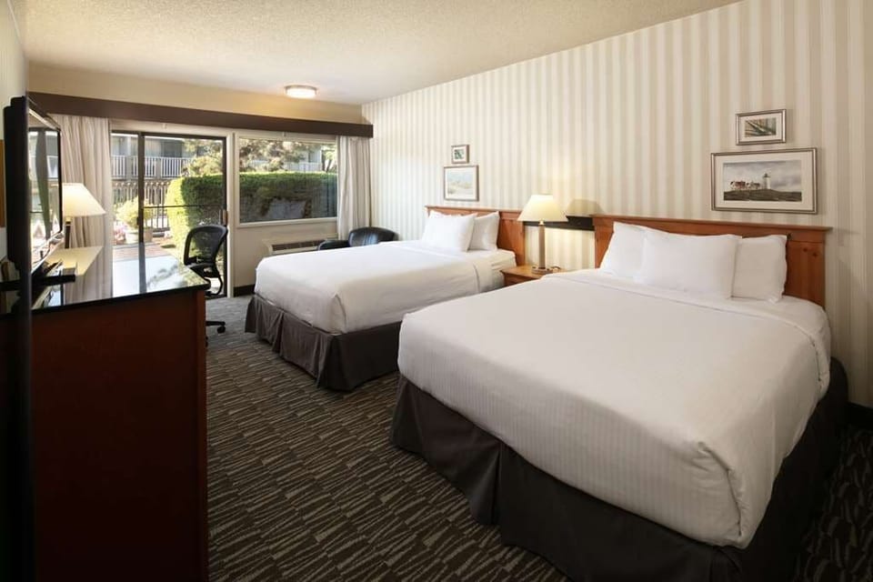 Unwind in crisp, sunlit double beds after busy days.