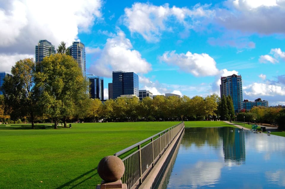 Unwind with a scenic lakeside walk surrounded by peaceful trees.