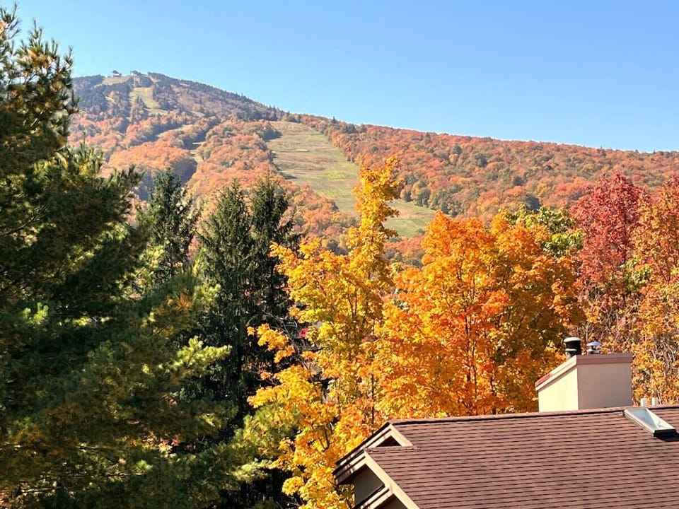 Amazing views of MT Snow from your deck
