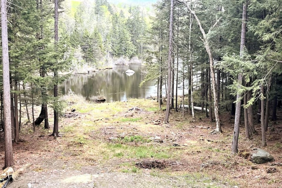 Private Cove on the Lake. Will be installing a DOCK and direct path to the water.