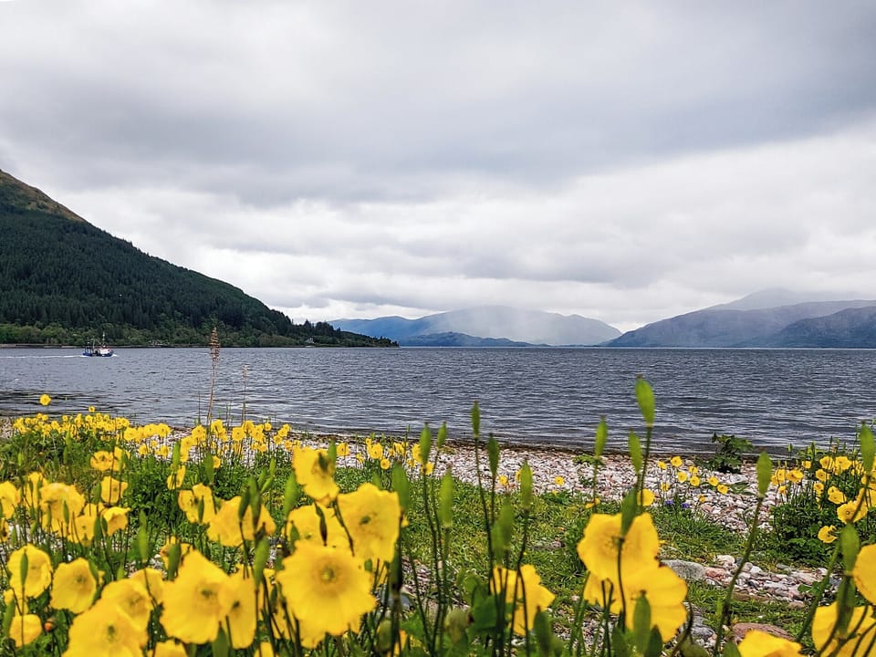 Shore front onto Loch Linnhe. A 5 minutes walk away | Roe Deer Cottage, North Ballachulish, near Glencoe