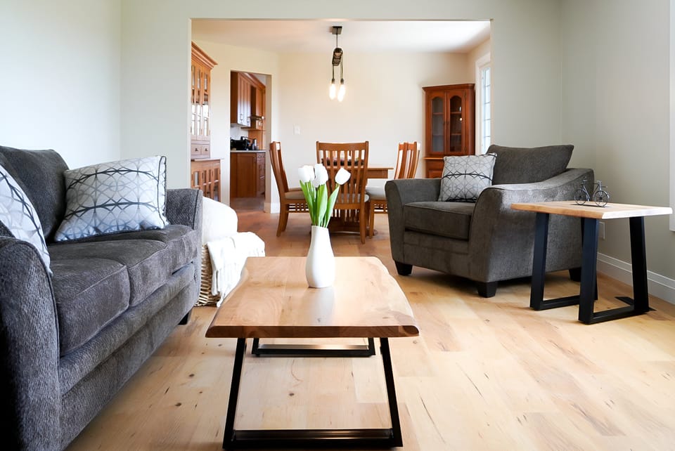 Living room offers a pull out couch. Looks out to our neighbours vineyards.