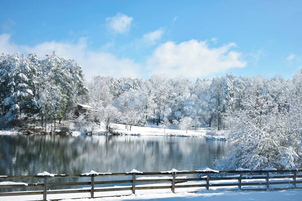 Lake View in Winter
