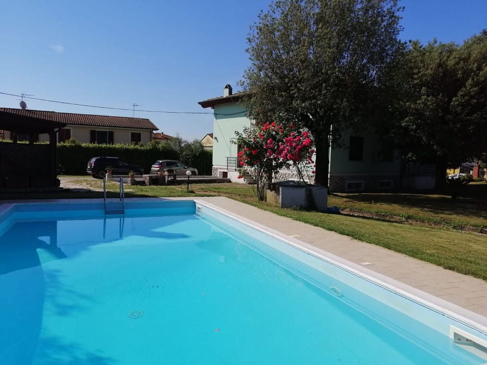 Autumn, Pool, Spring, Summer