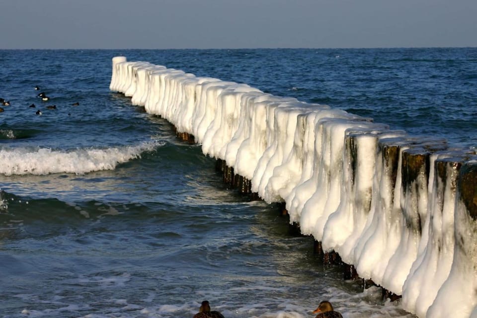 View from Holiday Home [winter]