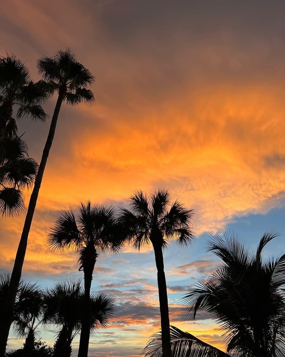 Beautiful Gulf Coast sunsets! 