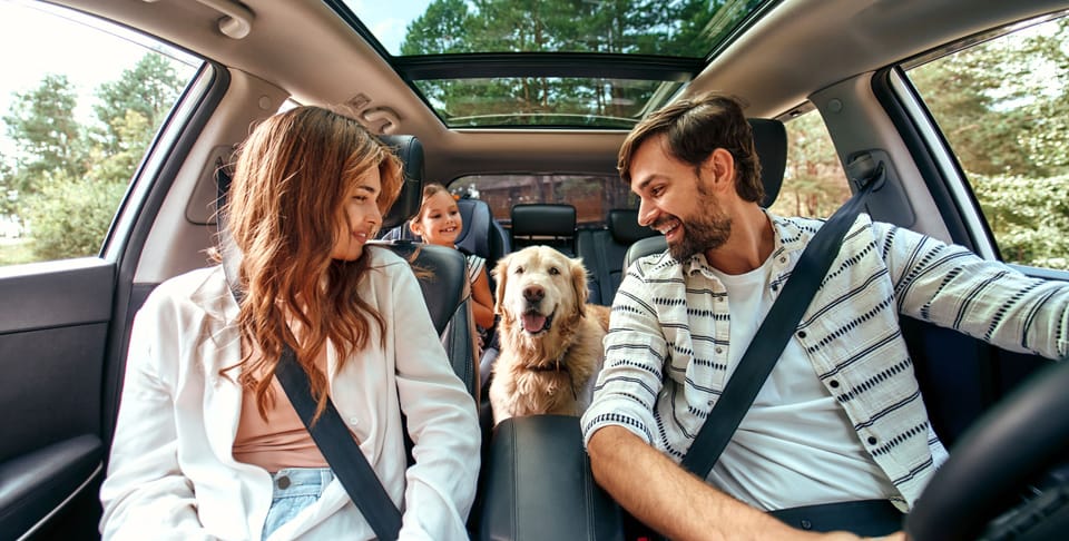 Pet-friendly