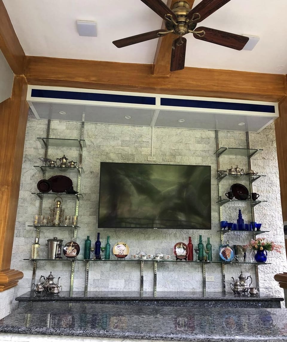 Television