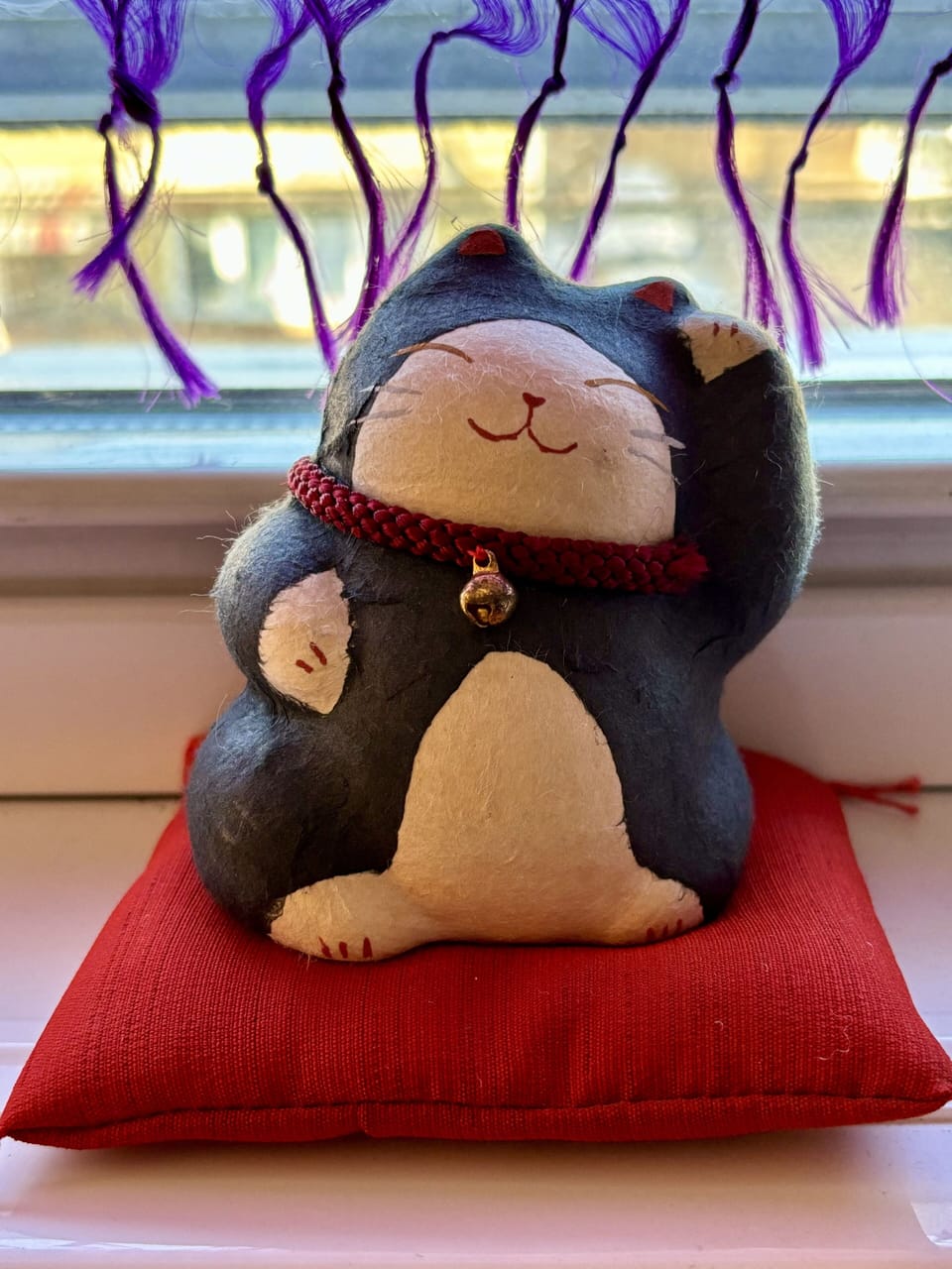Good luck kitty