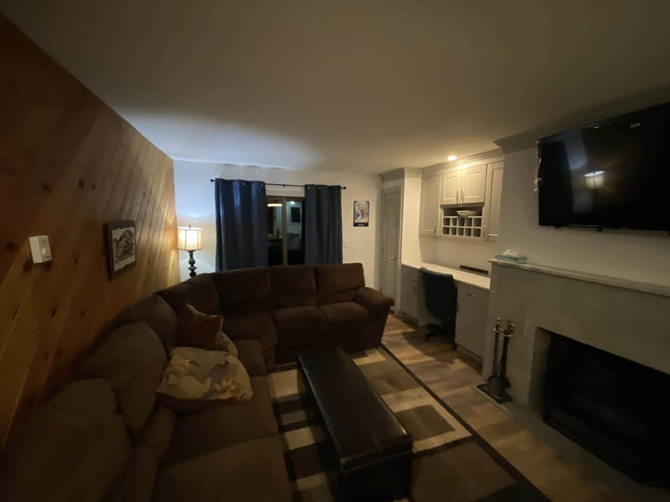 Living area with fireplace/desk/bar area