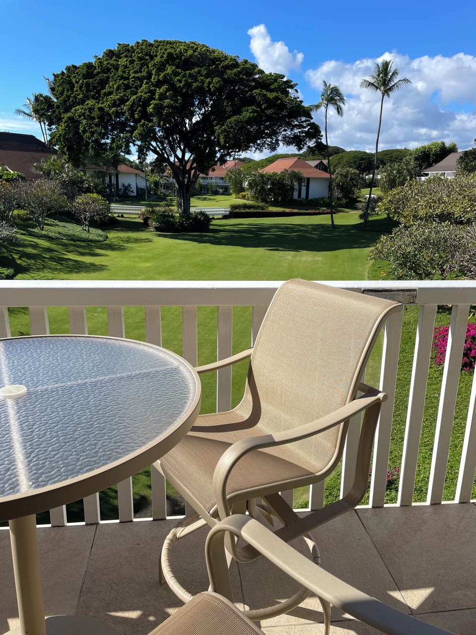 New upgraded bar height lanai furniture.  
