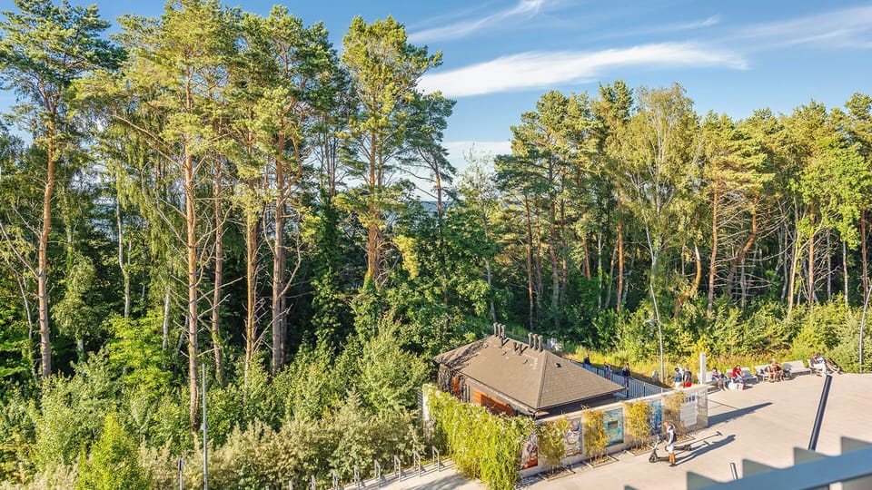 View from property