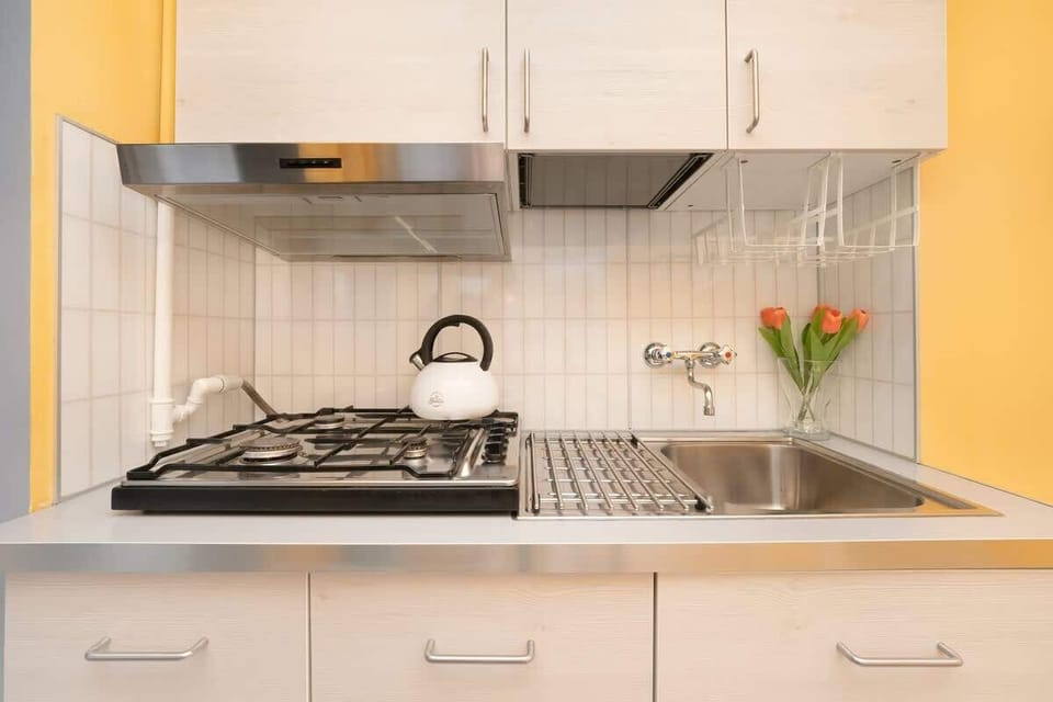 A kitchen close-up, featuring a stainless steel stove and backsplash, white cabinetry, and a small decorative touch with a green plant.

