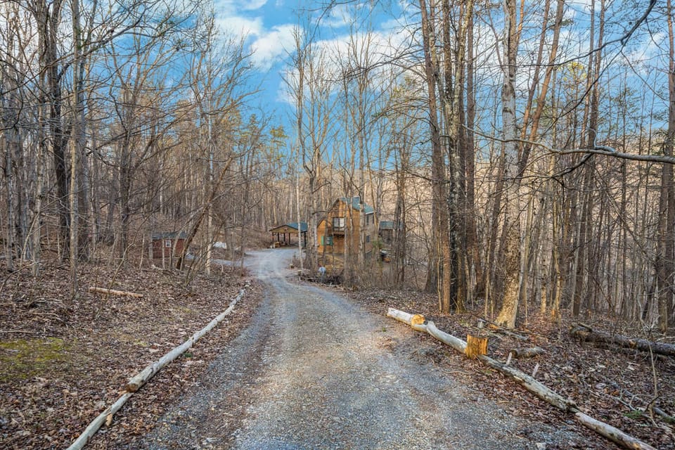 Driveway to the house