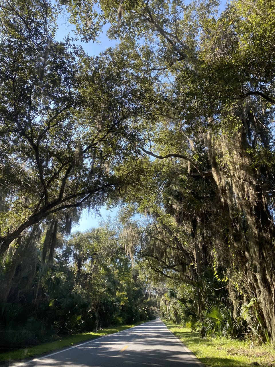 Ormond Scenic Loop & Trail