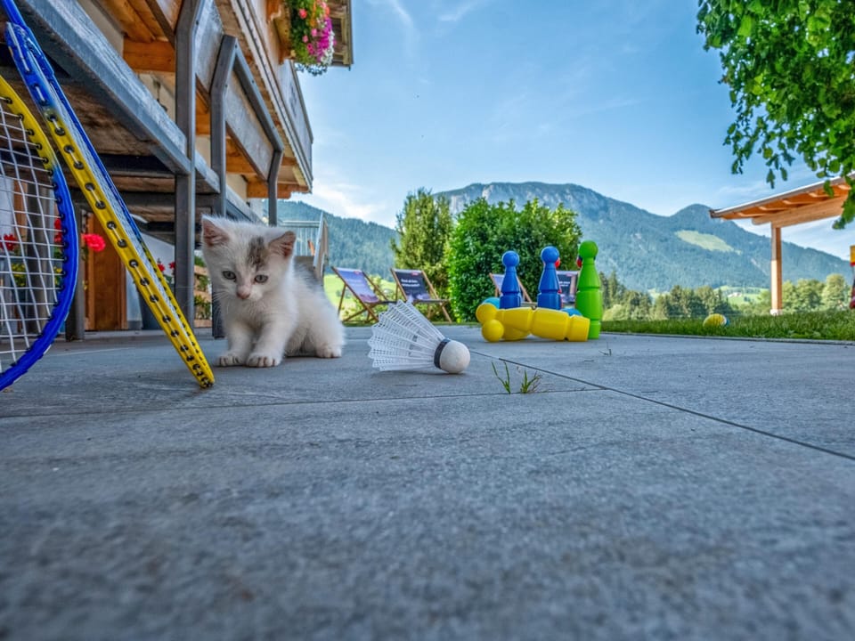 Garden [summer]