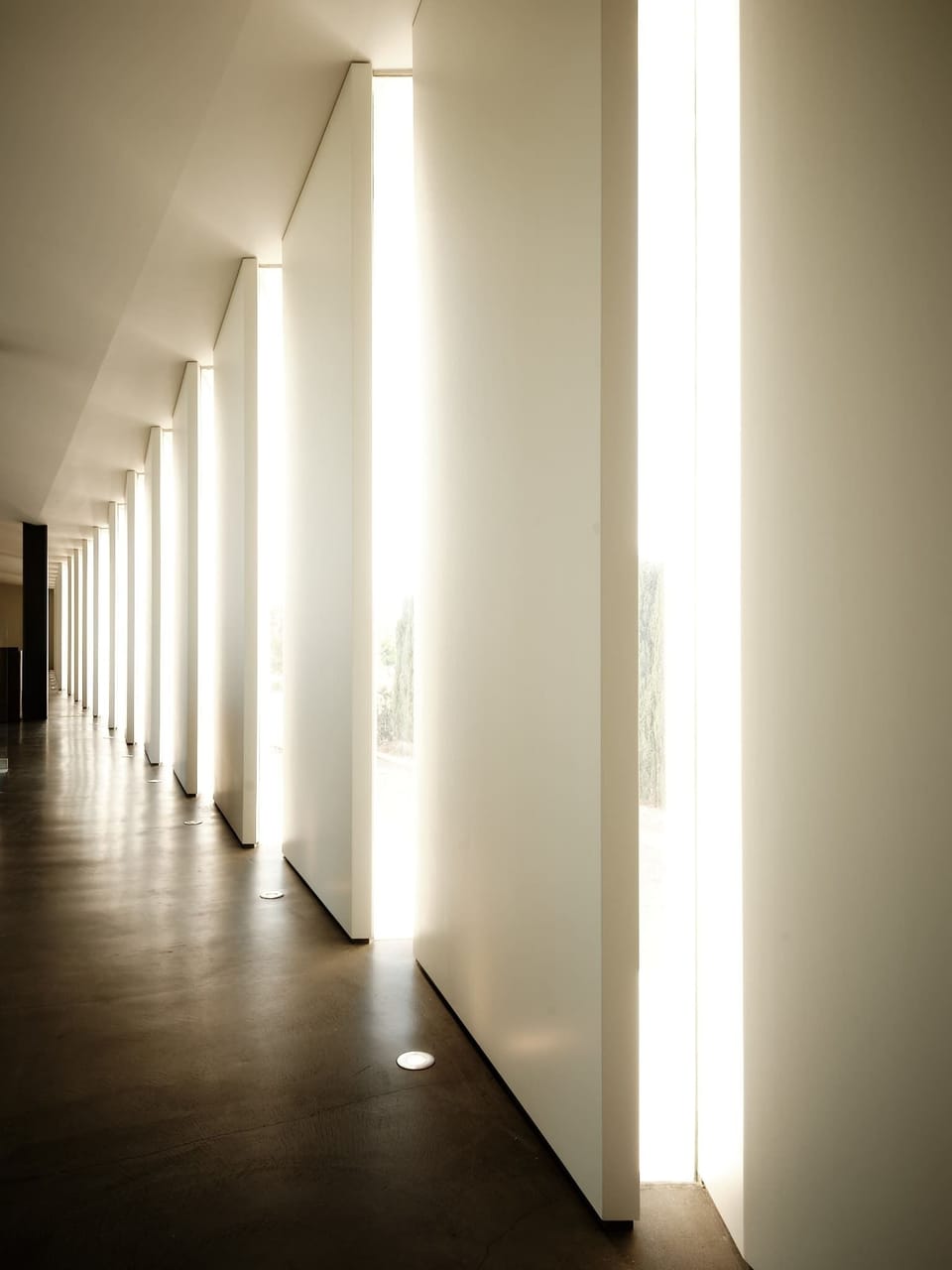 Distinctive walls and windows that exemplify cutting-edge style.