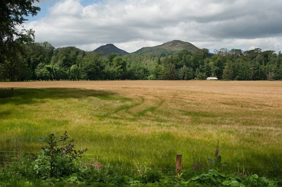 The Bothy at Dryburgh - surrounding views of the stunning Borders landscape