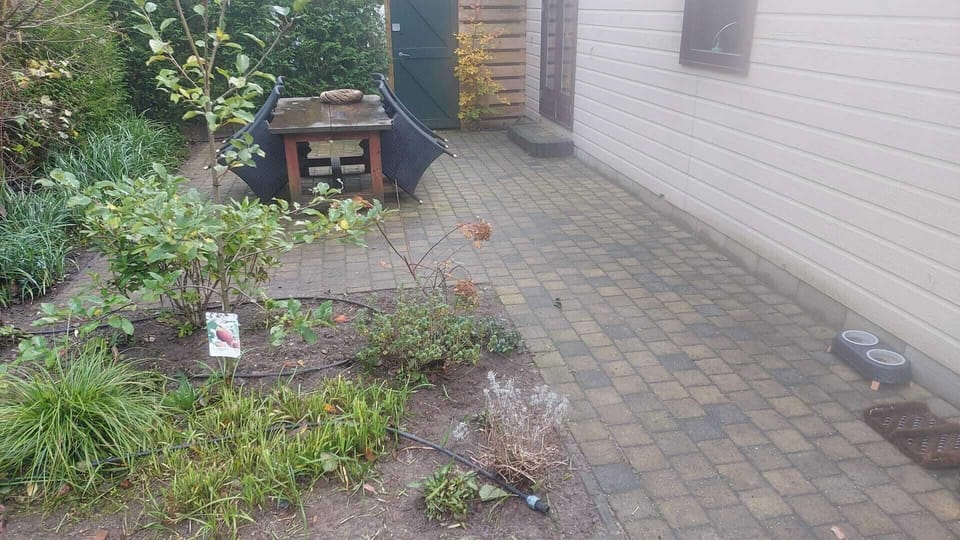 tuin