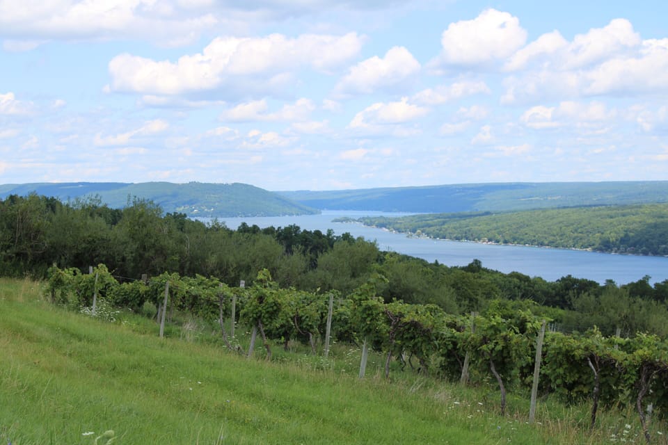 View of Keuka Lake and vineyards just minutes from the house. 