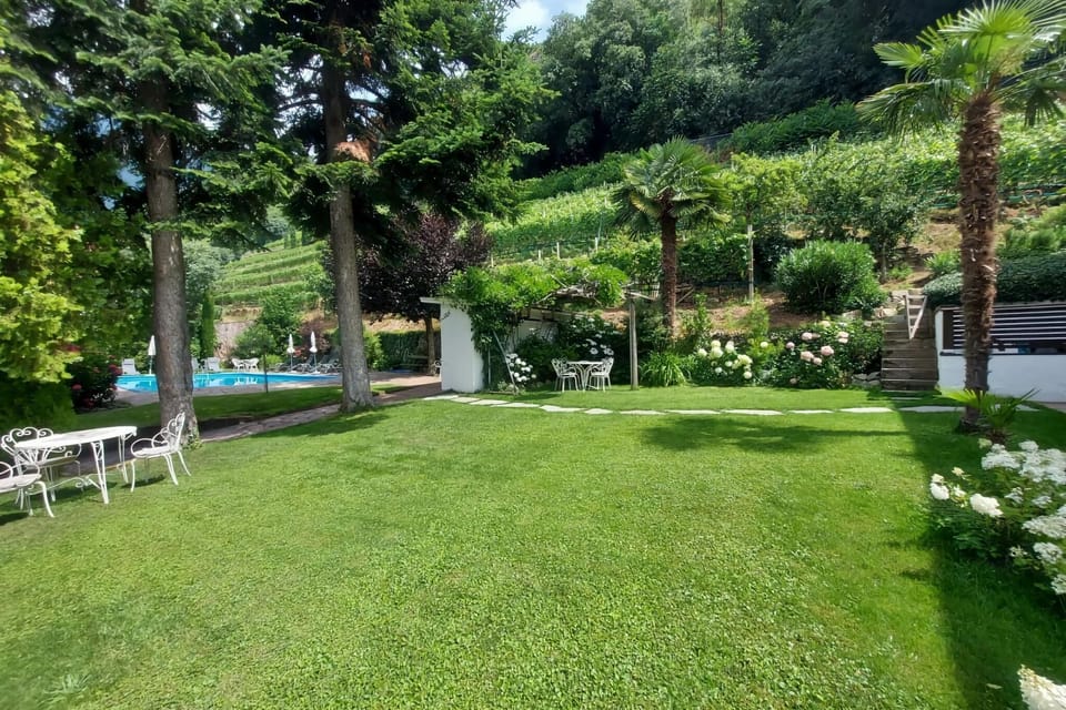 Garden [summer]