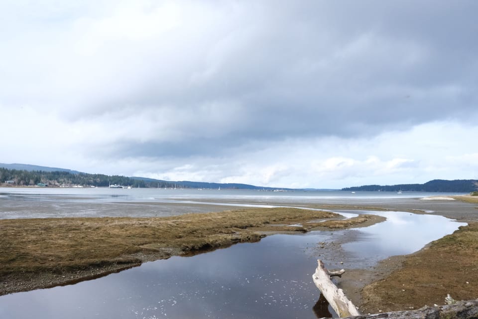 Fanny Bay Conservation Area - 8min walk.