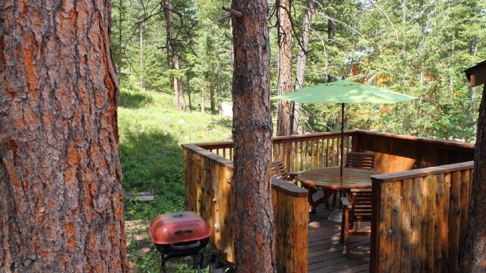 cabin_in_estes_park_front_2