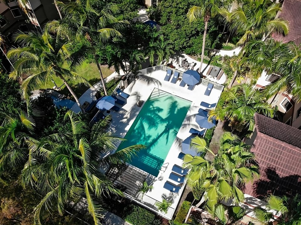 Escape to a sun-soaked pool oasis surrounded by palms.