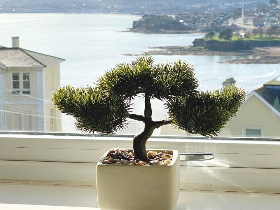 Sea View Apartment, 7 Ellington Court, Torquay - Views of The English Riviera