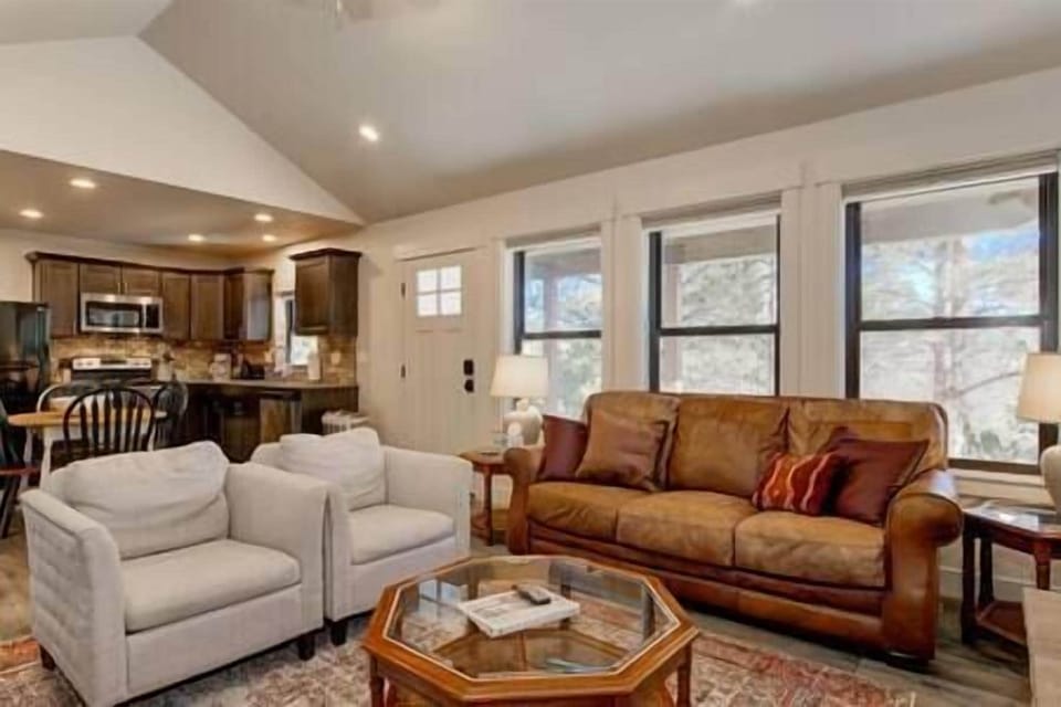 Living and Kitchen Area