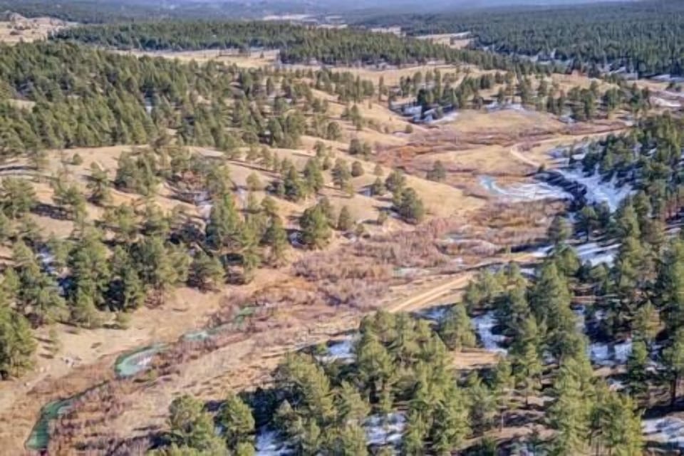 Beaver Ponds on Property