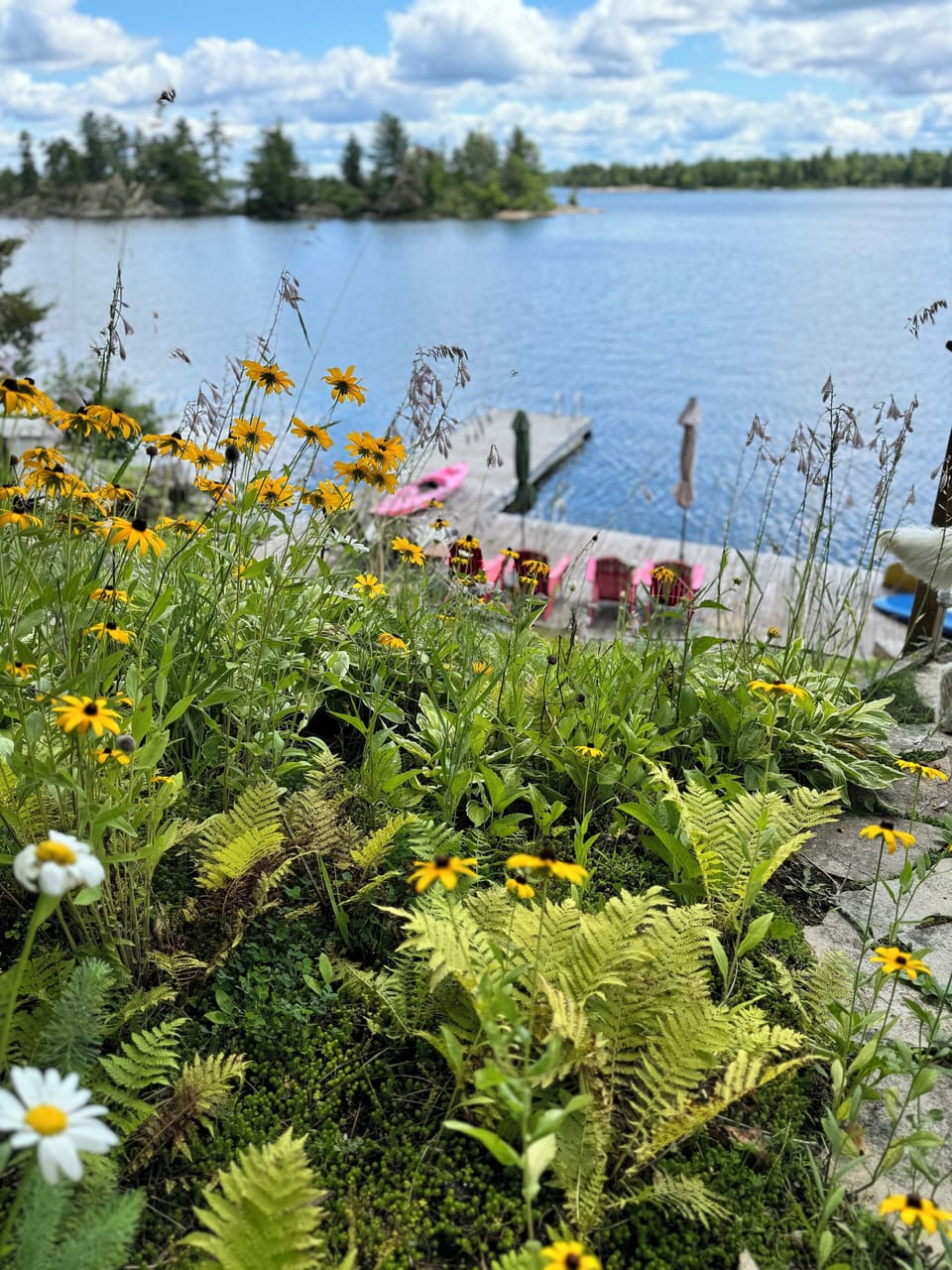 South facing dock with floating dock- capacity for ski/wakeboard or pontoon boat