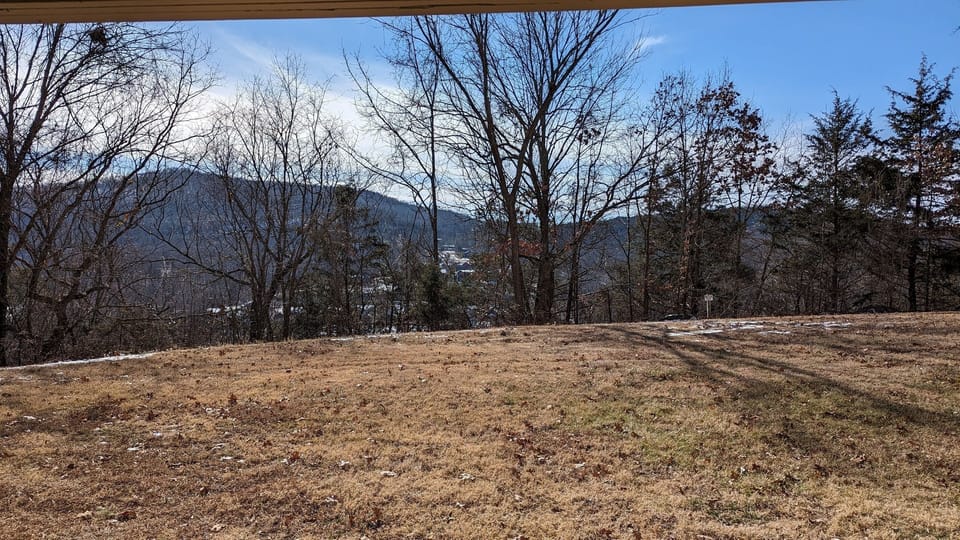 View from back patio