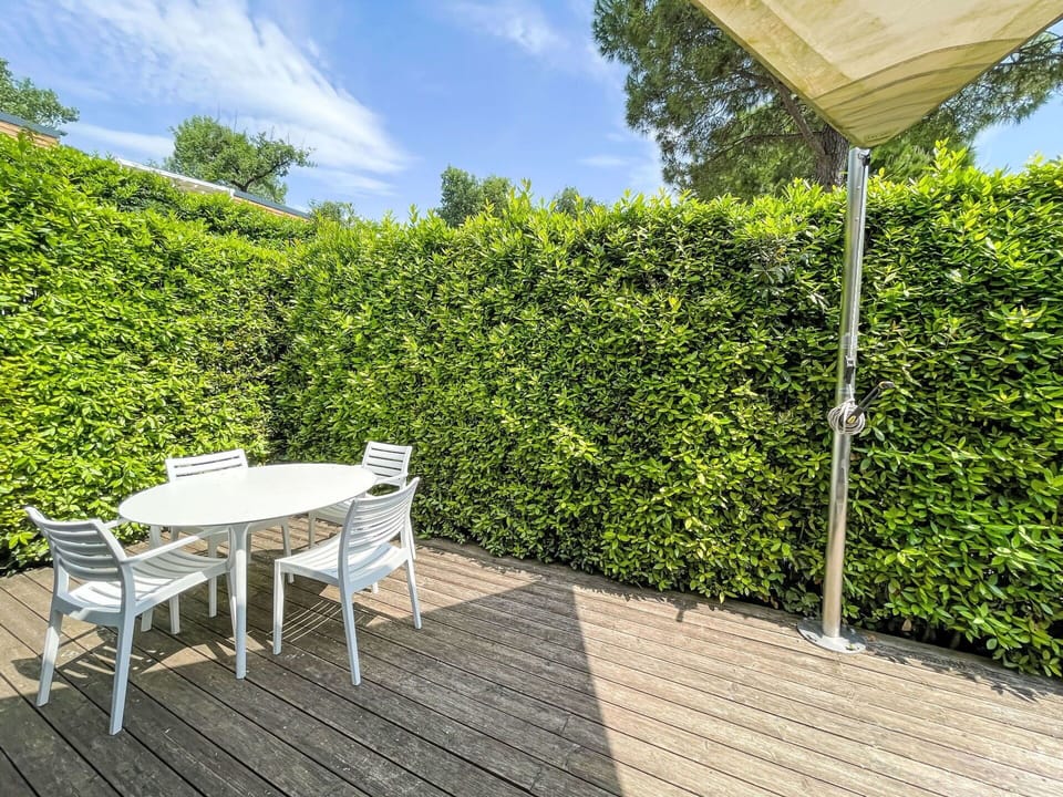 Green, Shrub, Hedge, Shade, Sunlight, Garden, Landscaping, Fence, Evergreen