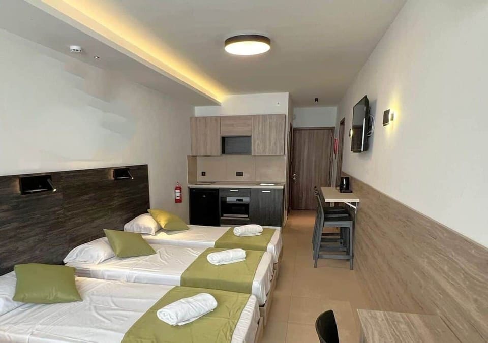 Overview (Room 1 with kitchen)