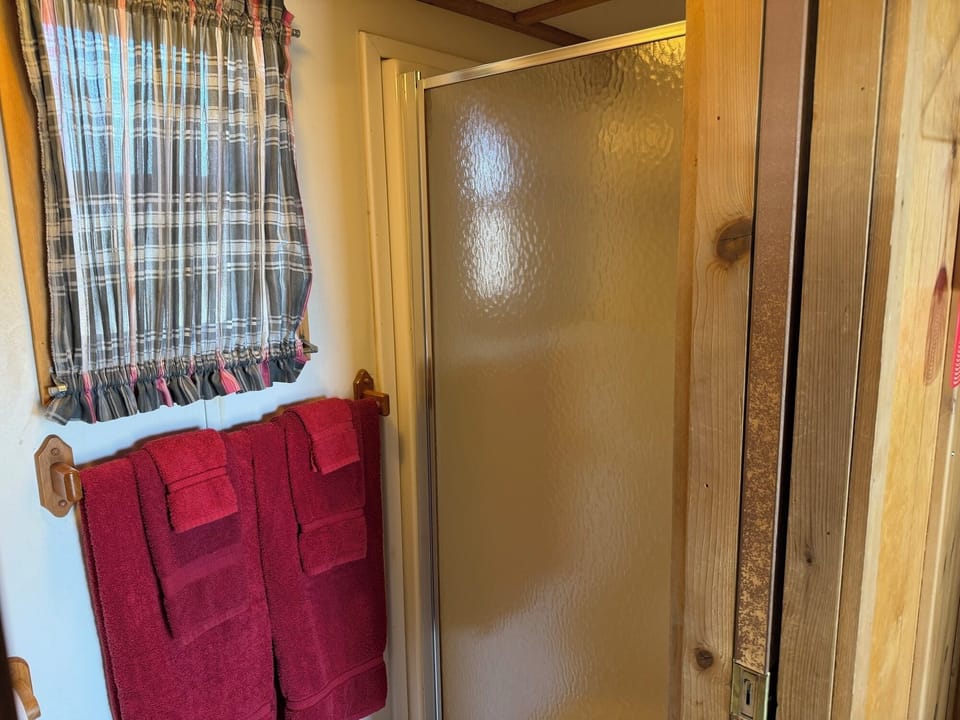Cabin20520shower