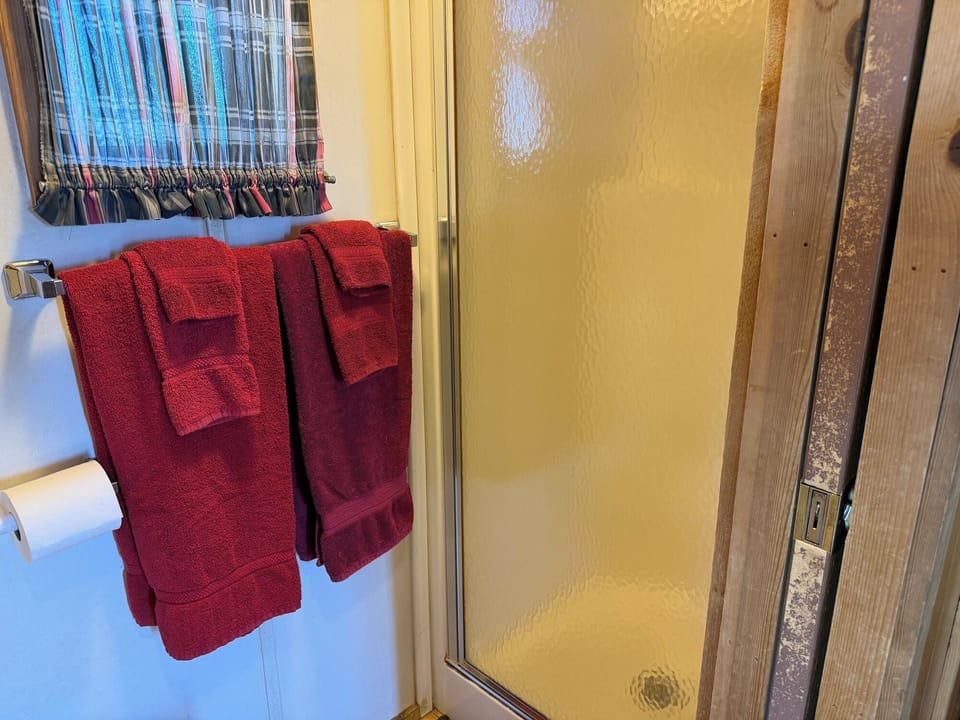 Cabin20320shower