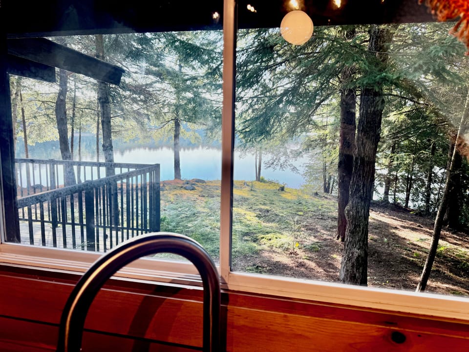 View from kitchen window
