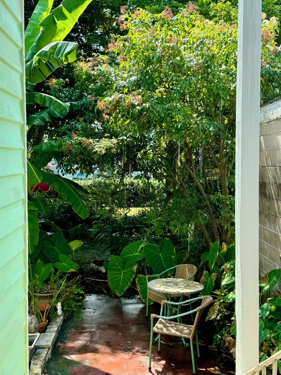 View from the backdoor. Lush back yard to sit and relax.