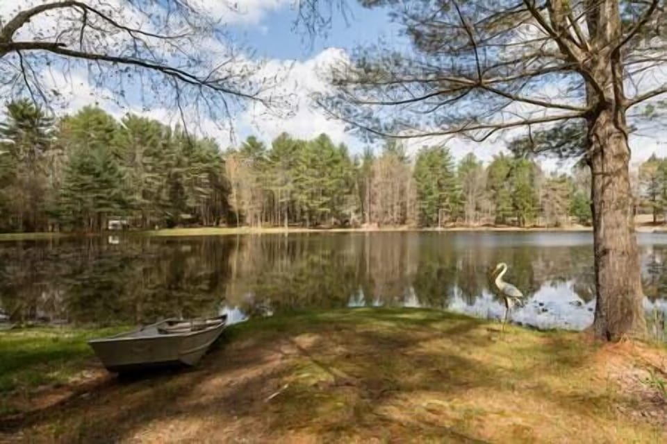 Pond view from the backyard