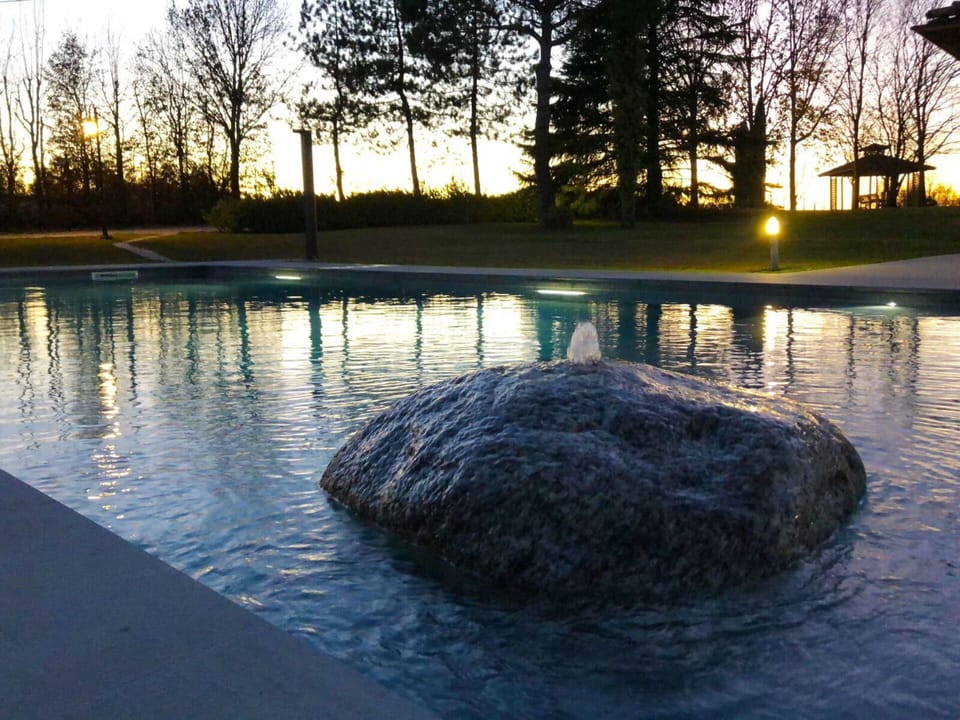 Water, Sky, Water Resources, Tree, Plant, Natural Landscape, Branch, Lake, Bank, Biome