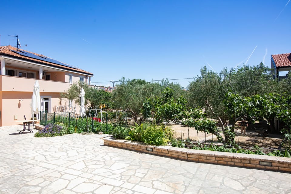 Terrace 1
